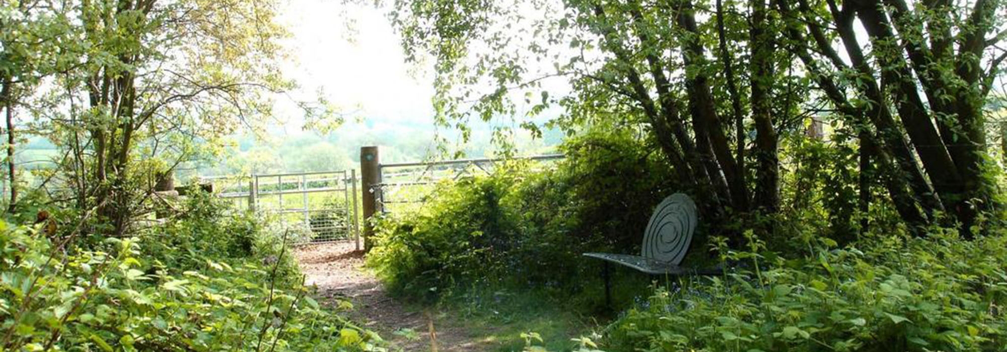 Snail Bench In Arley Woods