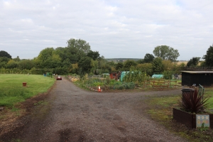 Gun Hill Allotment Association plots